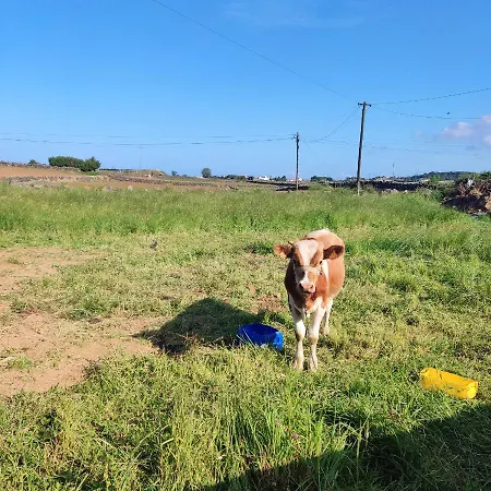 O Postigo Апартаменты *