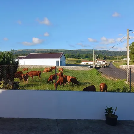 Apartamento O Postigo