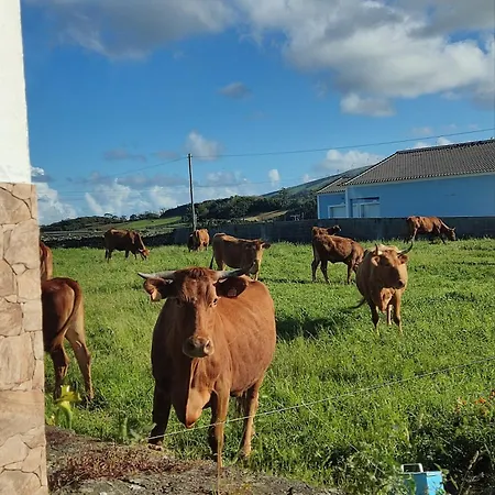 Апартаменты O Postigo