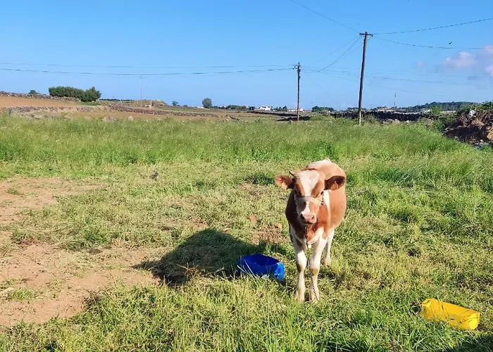 O Postigo Apartmán *